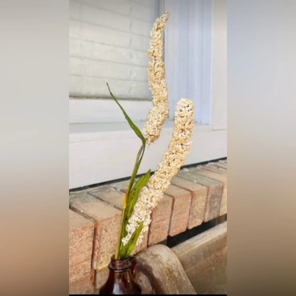 *Cream Millet Stem, 30” Bundle of 3